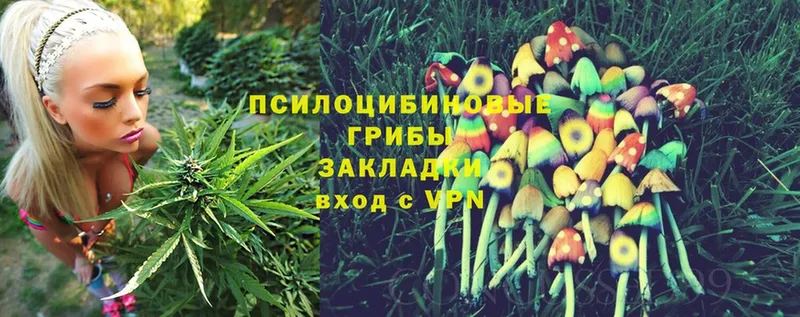 Псилоцибиновые грибы Cubensis  kraken зеркало  Остров 